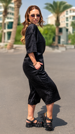 Trening Zebra